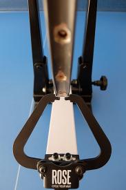 417056-wci4zmxpztjc-rose_01-medium.jpg